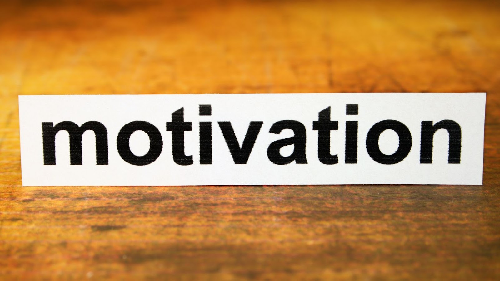 Read more about the article The Role of Intrinsic Motivation in Learning